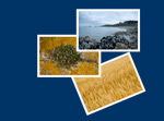 Galerie photos de Bretagne