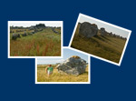 Galerie photos de dolmens et menhirs en Bretagne