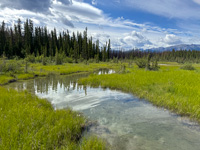 Sur la route et paysages de montagne en Alberta