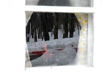 Reflet dans fenêtre