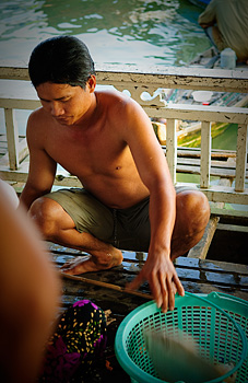 Pêcheur du Mékong - Chau Doc, vietnam
